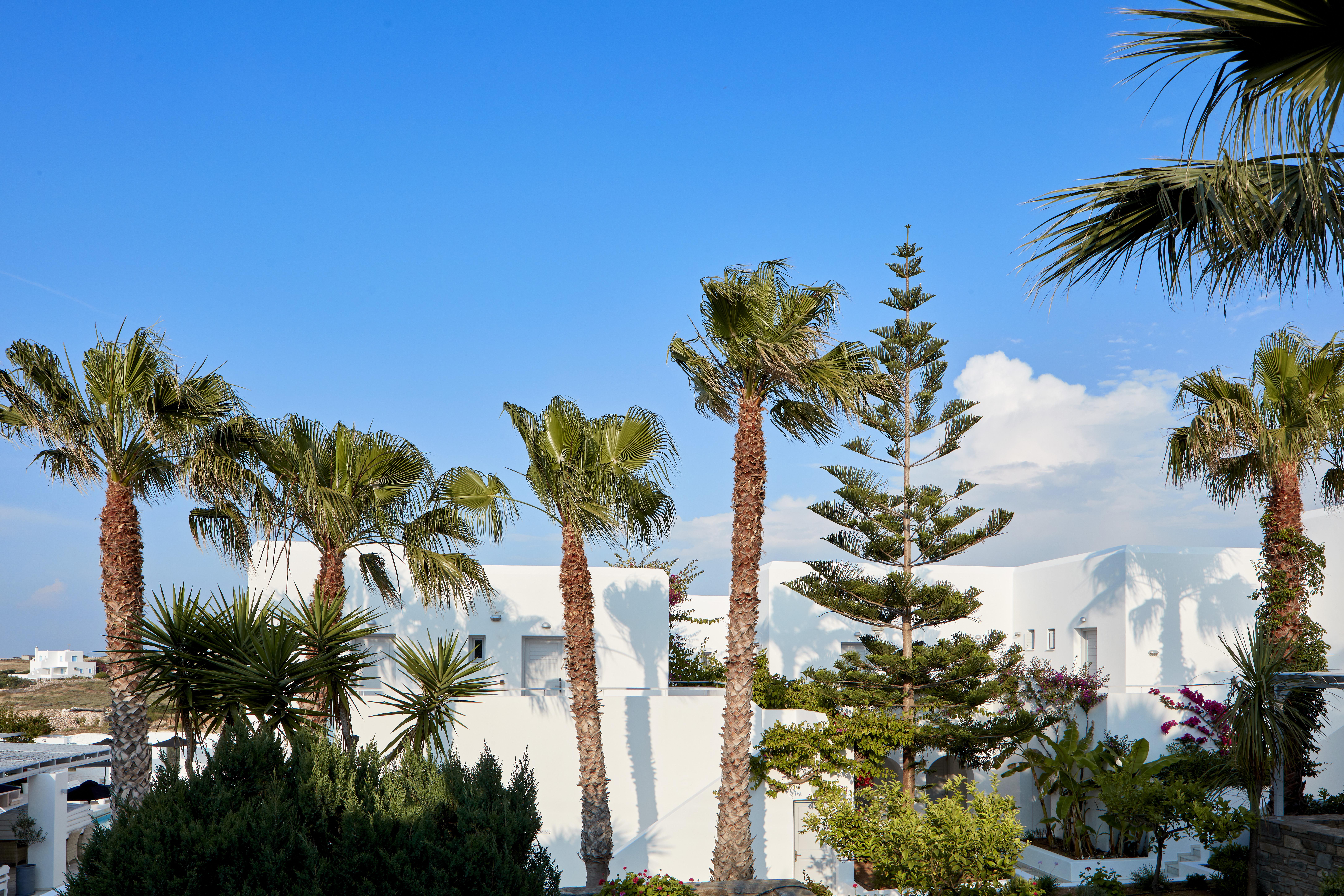 Hotel Mr And Mrs White Paros Nausa Exteriér fotografie