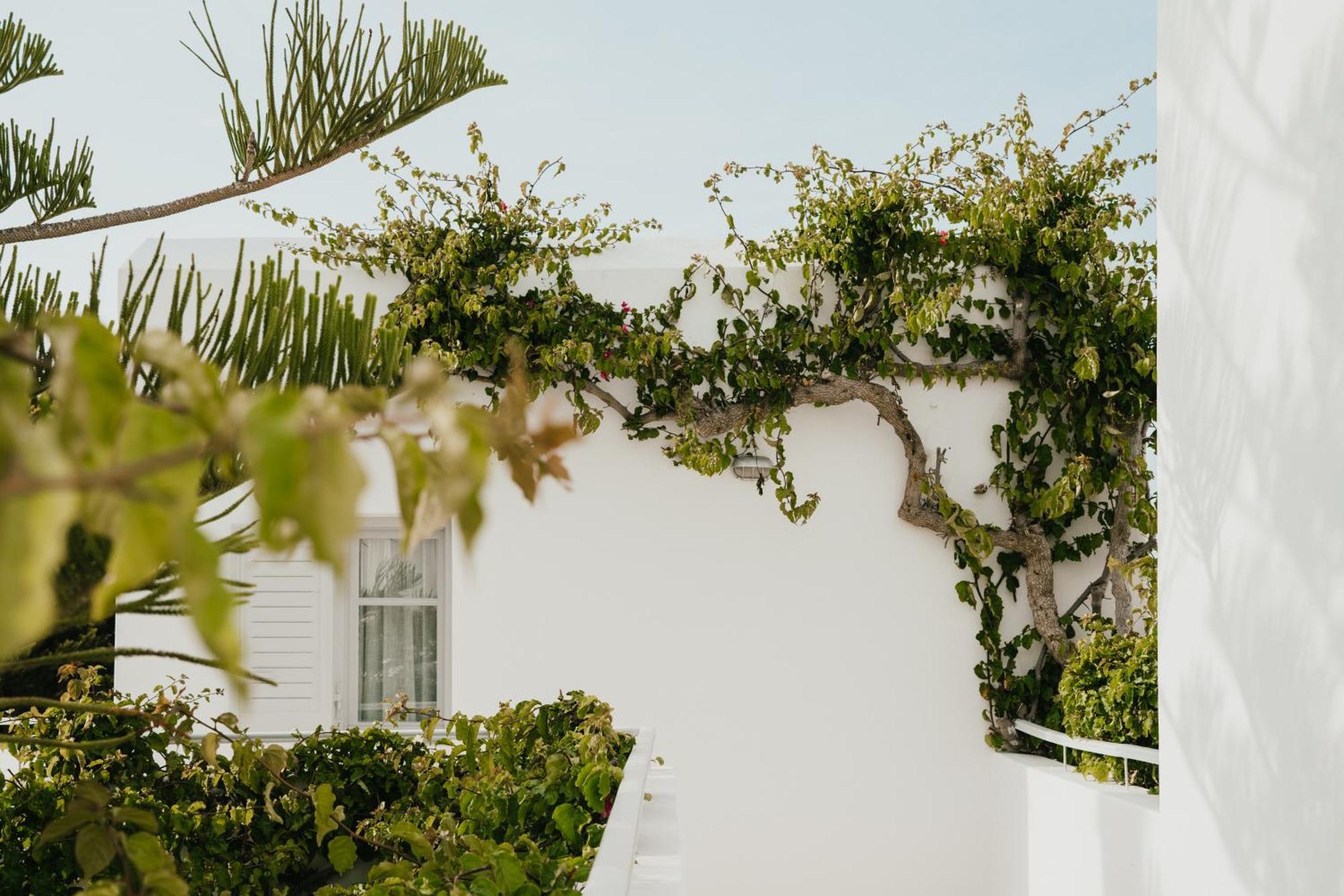 Hotel Mr And Mrs White Paros Nausa Exteriér fotografie